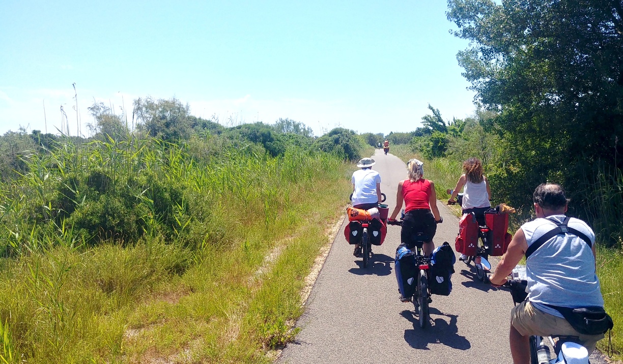 balade, vélos en ville, collectif 
