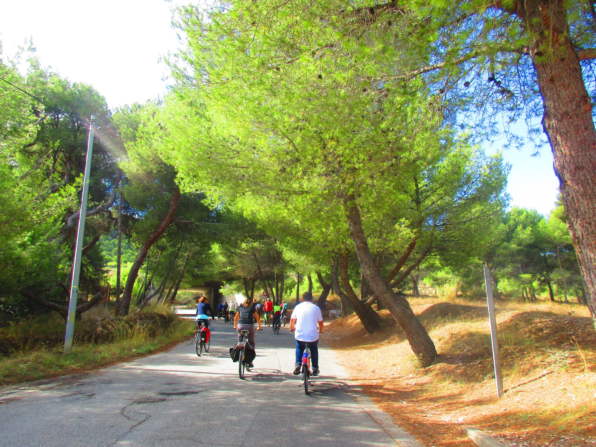 120849682 1053625385075797 7510474387521942176 o