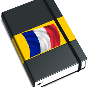 Agenda de ministre - Collectif Vélos en Ville