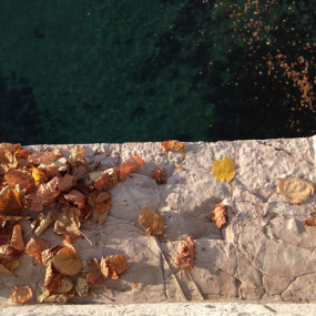 Balade du 3 décembre : Libérez les feuilles mortes ! - Collectif Vélos en Ville
