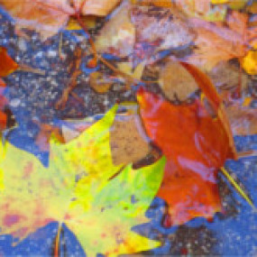 Balade mensuelle du 2 décembre 2018 - Collectif Vélos en Ville