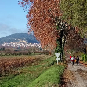 Retour du week-end cyclo des 24 et 25 novembre 2018 - Collectif Vélos en Ville