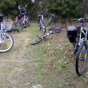 Prochaine balade du dimanche 1er mars 2020 - Collectif Vélos en Ville